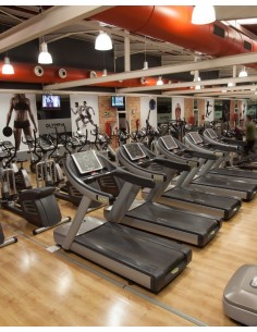 Mes de prueba fitness