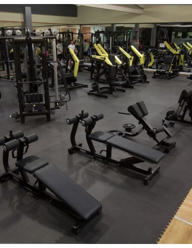 Fitness anual 1 regalo