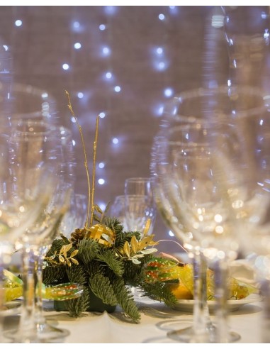 Cena de Nochevieja con Hotel para 2 personas Cena de Nochevieja con Hotel para 2 personas