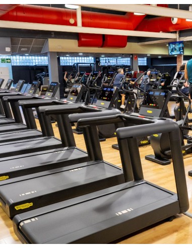 Oferta 6 meses gimnasio