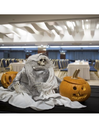 Fiesta de Halloween Fiesta de Halloween